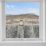 Bright 3-bedroom Near Center ברגן